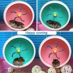 Silent Hamster Wheel for Small Pet Exercise 2 | PricZone