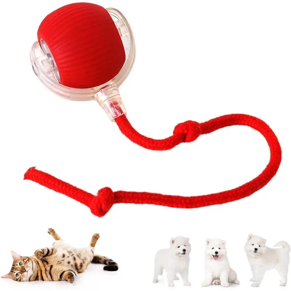 Interactive Cat Dog Toy Roller Ball Sports Ast Rolling 1 | PricZone Interactive Cat Dog Toy Roller Ball Sports Ast Rolling 1 | PricZone