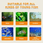 Complete Brine Shrimp Eggs Feeder Set for Aquarium Baby 6 | PricZone Complete Brine Shrimp Eggs Feeder Set for Aquarium Baby 6 | PricZone