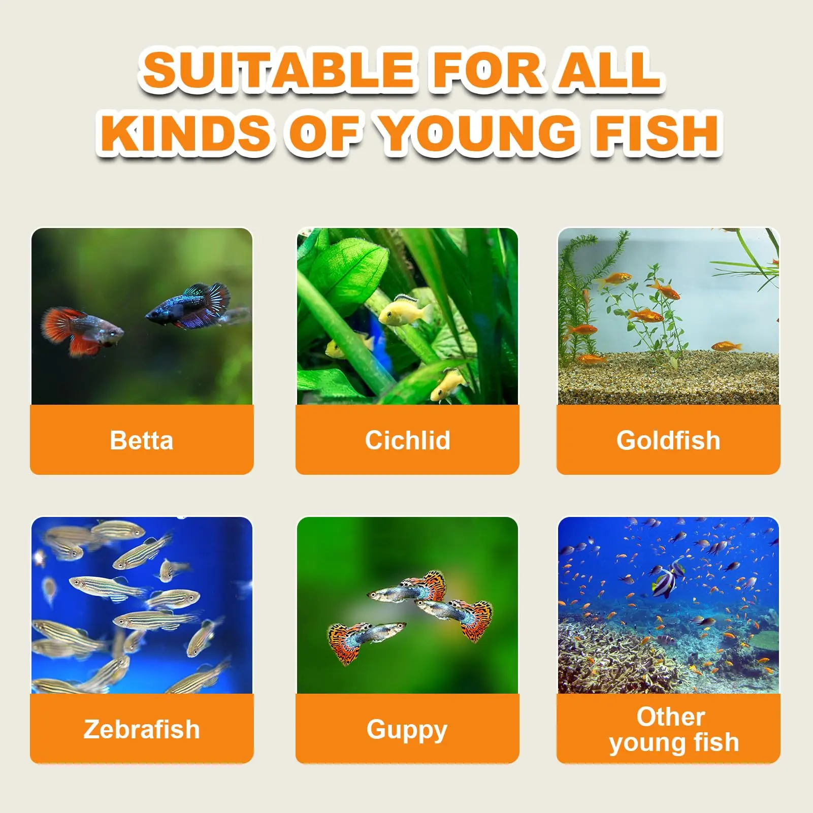 Complete Brine Shrimp Eggs Feeder Set for Aquarium Baby 6 | PricZone Complete Brine Shrimp Eggs Feeder Set for Aquarium Baby 6 | PricZone