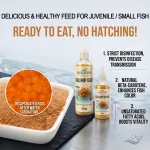Complete Brine Shrimp Eggs Feeder Set for Aquarium Baby 3 | PricZone Complete Brine Shrimp Eggs Feeder Set for Aquarium Baby 3 | PricZone