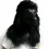 Poodle Mask Dog Deluxe Halloween Costume Party Latex Animal