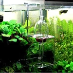 Glass Fish Food Feeder Hang On Aquarium Crystal Shrimp 4 | PricZone
