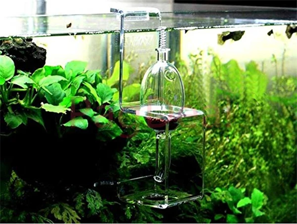 Glass Fish Food Feeder Hang-On Aquarium Crystal Shrimp 12