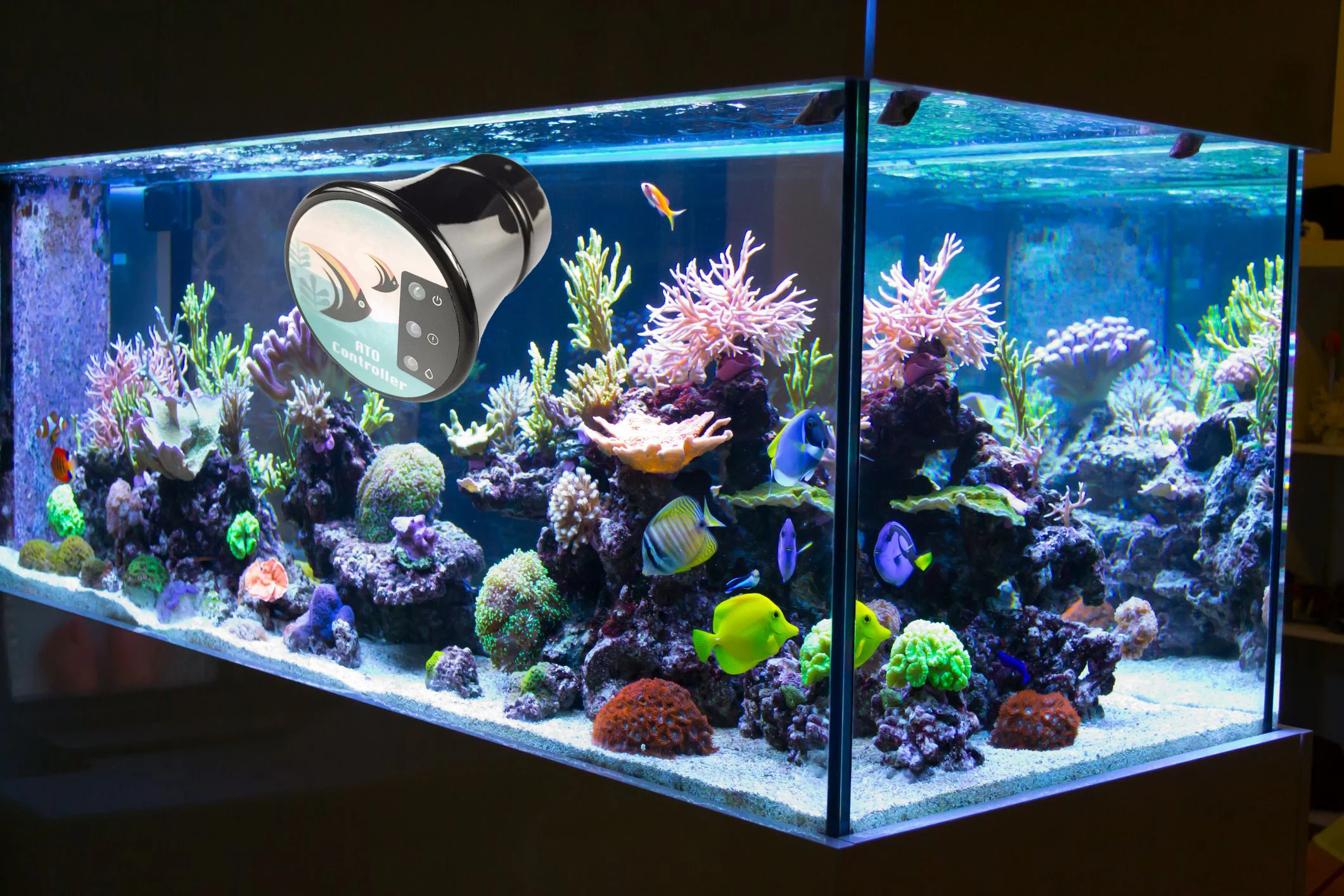 Epttech Transparent Container Water Aquarium Fishbowl Pump 7
