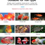 Fish Feeder Automatic Timing and Quantitative Small 3 | PricZone