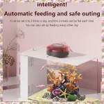 Automatic Meal Fish Feeder for Aquarium with Timer 2 | PricZone