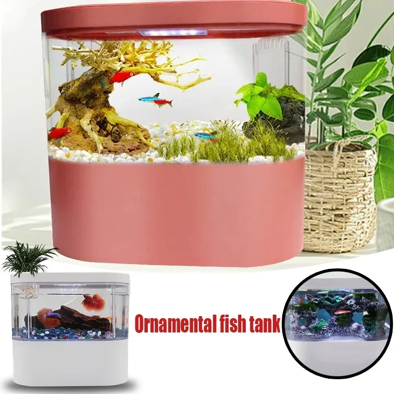 Fish Tank with Oxygen Pump Filtration Acrylic Material LED 11